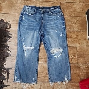 Judy Blue Distressed Cropped Jeans, Size 20w